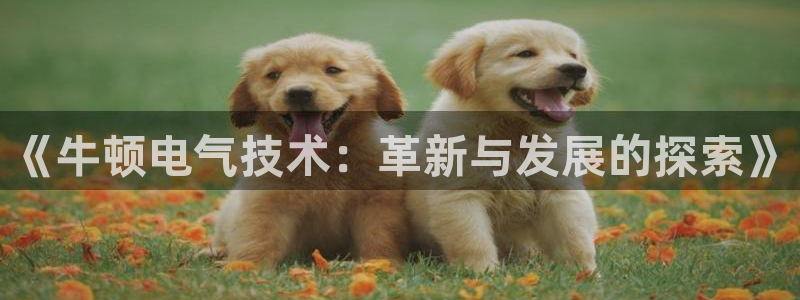 凯发平台敌7O777
