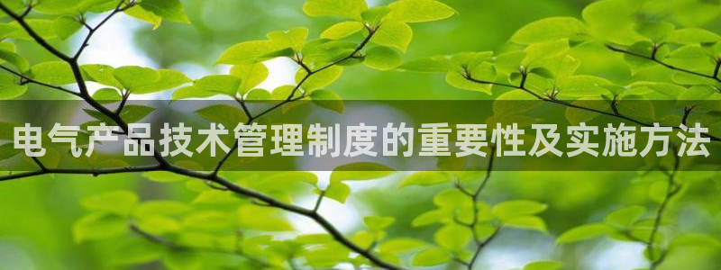 凯发k8国际真人娱乐旗舰厅