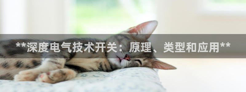凯发k8娱乐官网手机端中心
