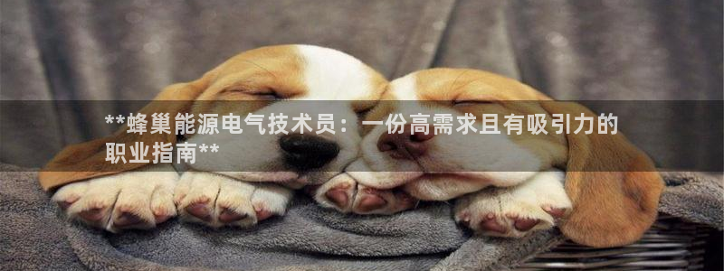 凯发网娱乐官网国际