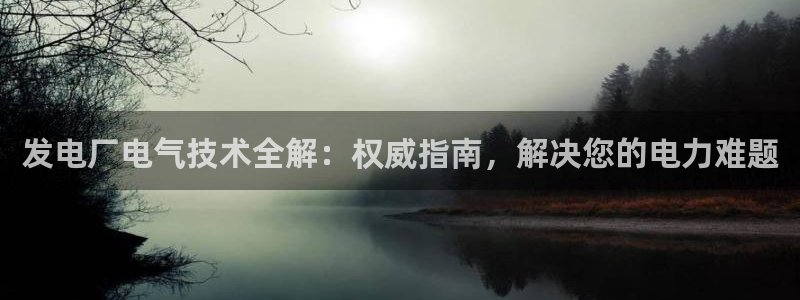 凯发官方:访问凯发.网站：发电厂电气技术全解：权威