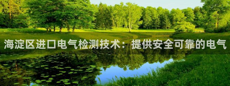 凯发k8旗舰店：海淀区进口电气检测技术：提供安全可