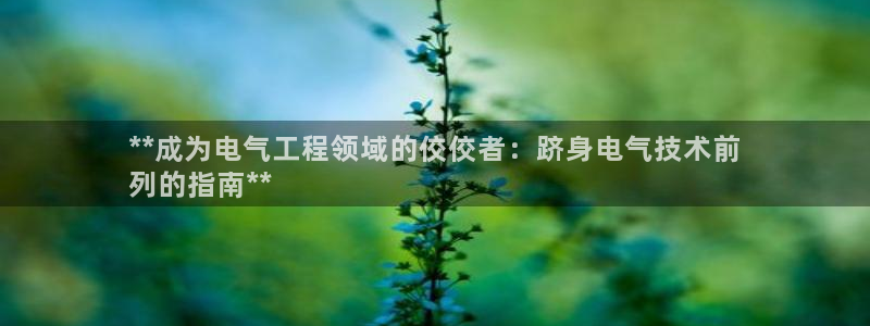 凯发app可信吗