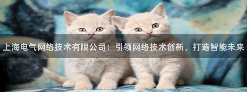 凯发k8娱乐是什么平台：上海电气网络技术有限公司：