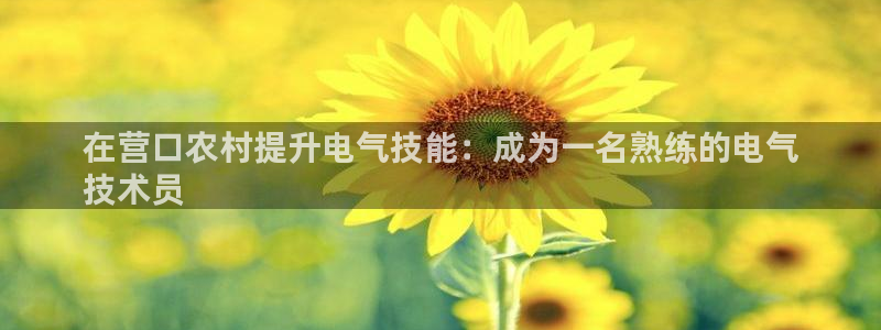 凯发娱乐国际厅：在营口农村提升电气技能：成为一名熟