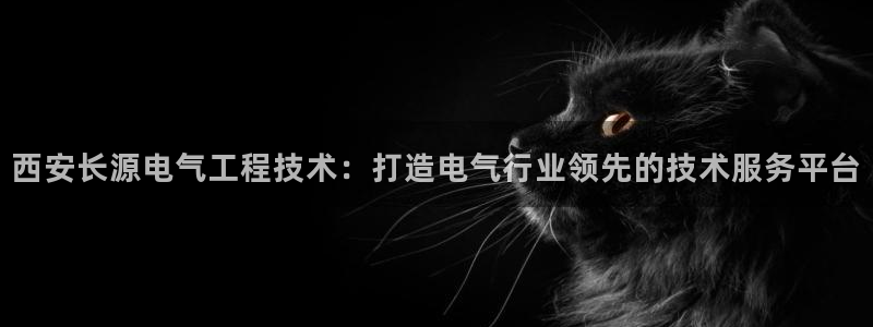 凯发k8国际官网可靠吗：西安长源电气工程技术：打造
