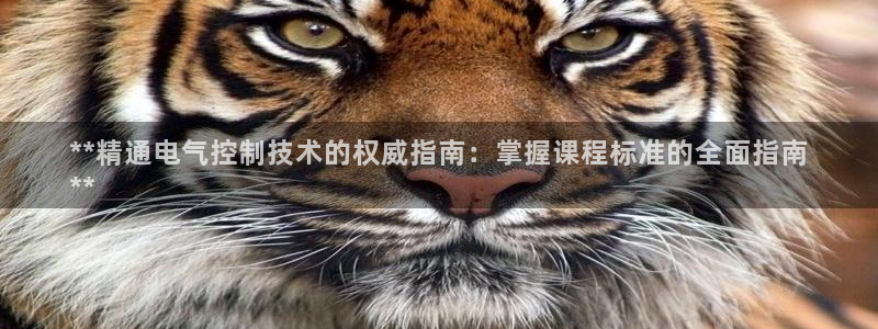 凯发国际官网下载：**精通电气控制技术的权威指南：