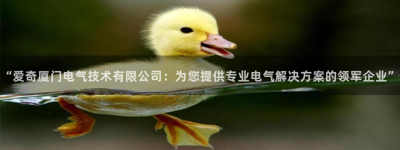 凯发k8手机网页