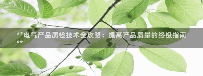 凯发旗舰客户端：**电气产品质检技术全攻略：提高产
