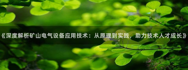 凯发娱网址是什么：《深度解析矿山电气设备应用技术：