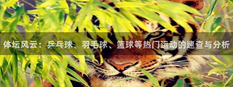 熊猫体育直播nba：体坛风云：乒乓球、羽毛球、篮球等热门运动的速查与分析