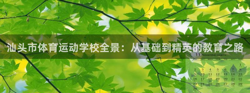 熊猫体育app官网入口：汕头市体育运动学校全景：从基础到精英的教育之路