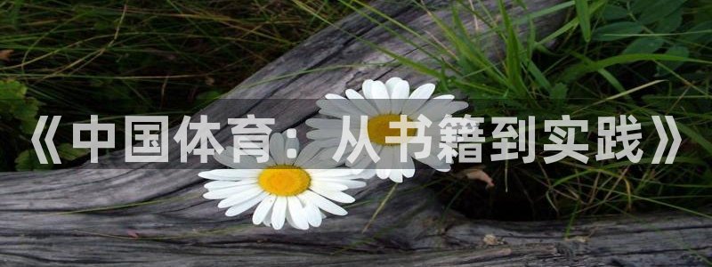 熊猫体育公园：《中国体育：从书籍到实践》