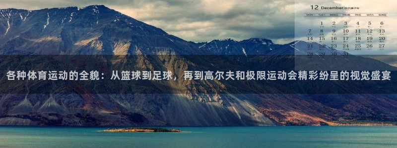 动感熊猫体育公园：各种体育运动的全貌：从篮球到足球，再到高尔夫和极限运动会精彩纷呈的视觉盛宴