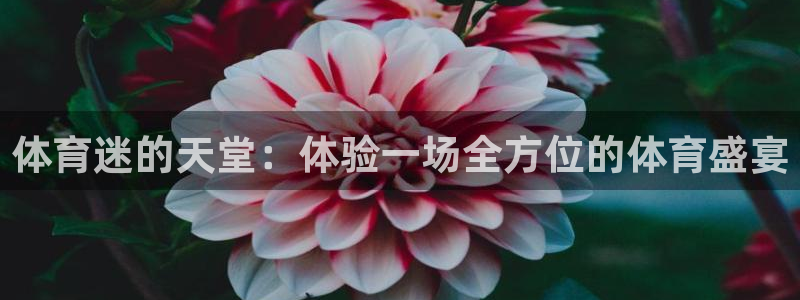 成都熊猫体育公园：体育迷的天堂：体验一场全方位的体育盛宴
