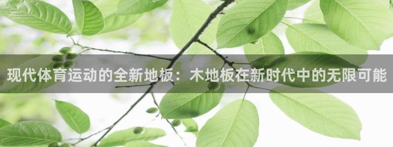 熊猫体育在线观看：现代体育运动的全新地板：木地板在新时代中的无限可能