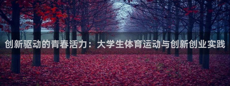 中山熊猫体育：创新驱动的青春活力：大学生体育运动与创新创业实践