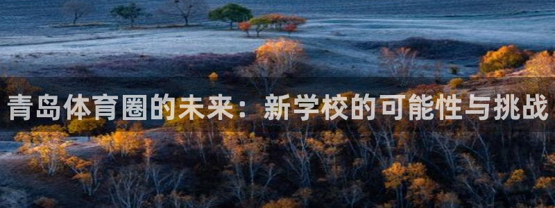 熊猫体育怎么样：青岛体育圈的未来：新学校的可能性与挑战