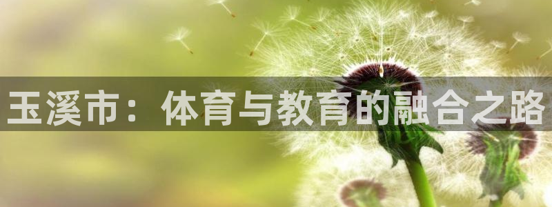 熊猫体育官网：玉溪市：体育与教育的融合之路