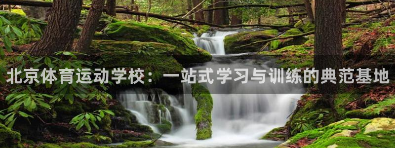 熊猫体育v3.新网页.org：北京体育运动学校：一站式学习与训练的典范基地