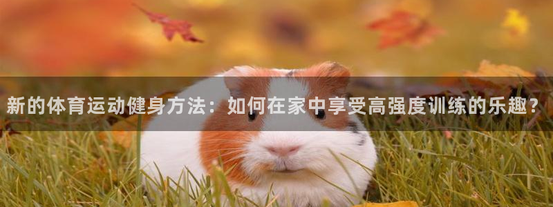 熊猫体育平台：新的体育运动健身方法：如何在家中享受高强度训练的乐趣？