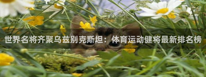 熊猫体育平台官网：世界名将齐聚乌兹别克斯坦：体育运动健将最新排名榜