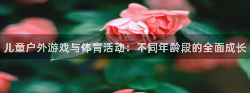 动感熊猫体育公园：儿童户外游戏与体育活动：不同年龄段的全面成长