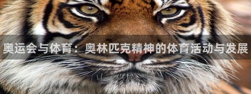 下载熊猫体育：奥运会与体育：奥林匹克精神的体育活动与发展