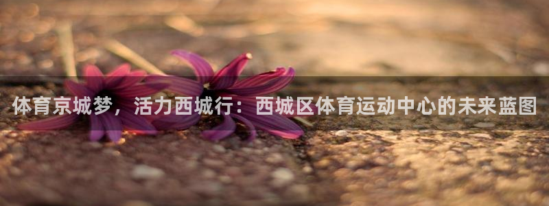 下载熊猫体育：体育京城梦，活力西城行：西城区体育运动中心的未来蓝图