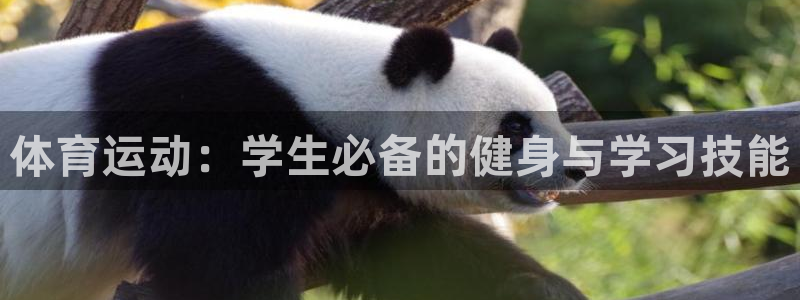 熊猫体育在线观看：体育运动：学生必备的健身与学习技能