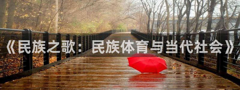 熊猫体育v3.新网页.org：《民族之歌：民族体育与当代社会》