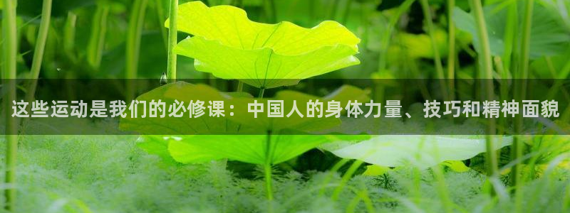 熊猫体育app官方入口：这些运动是我们的必修课：中国人的身体力量、技巧和精神面貌