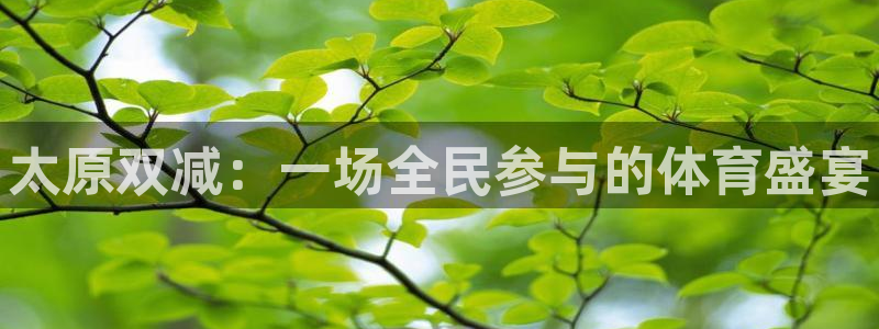 181熊猫体育：太原双减：一场全民参与的体育盛宴