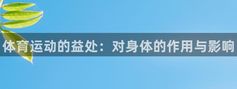 熊猫体育文化有限公司：体育运动的益处：对身体的作用与影响