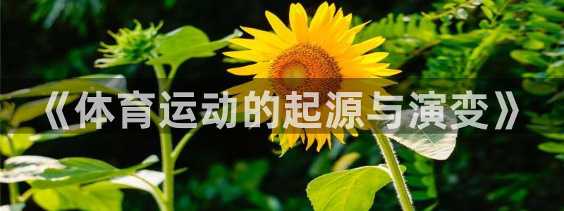 熊猫体育文化有限公司：《体育运动的起源与演变》