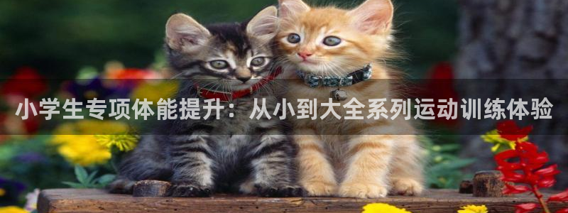 下载熊猫体育：小学生专项体能提升：从小到大全系列运动训练体验