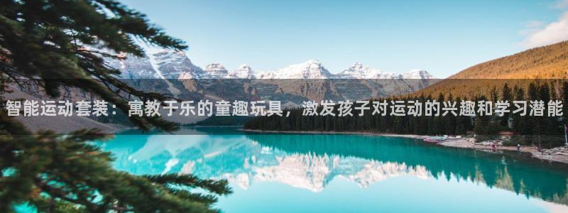 熊猫体育免费下载：智能运动套装：寓教于乐的童趣玩具，激发孩子对运动的兴趣和学习潜能