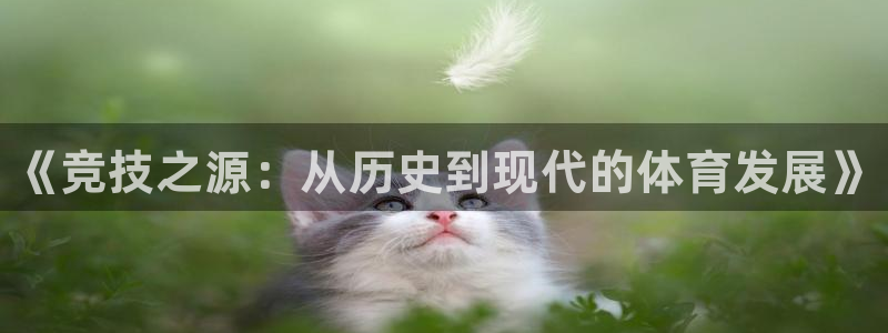 熊猫体育官网：《竞技之源：从历史到现代的体育发展》