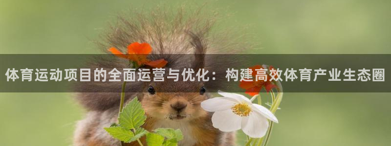 熊猫体育app官网入口：体育运动项目的全面运营与优化：构建高效体育产业生态圈