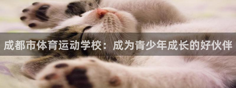 熊猫体育网址：成都市体育运动学校：成为青少年成长的好伙伴