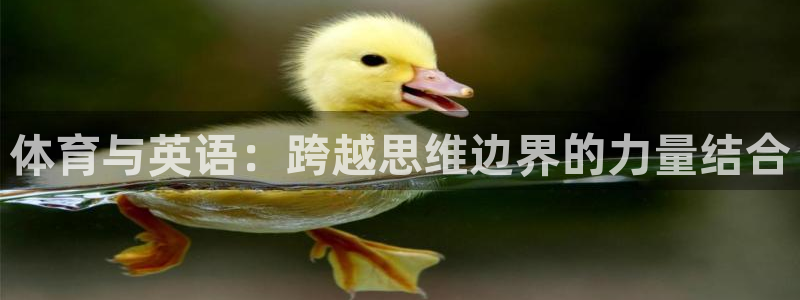 181熊猫体育：体育与英语：跨越思维边界的力量结合