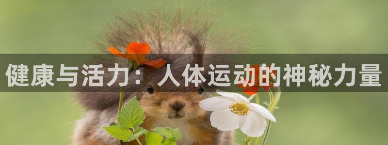 熊猫体育手机版下载：健康与活力：人体运动的神秘力量