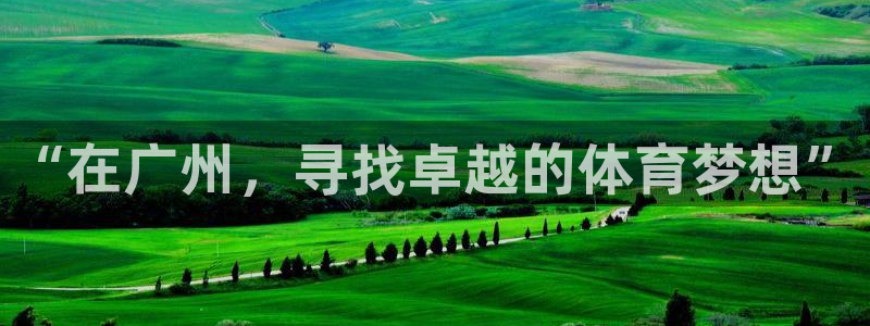 熊猫体育公园价格：“在广州，寻找卓越的体育梦想”