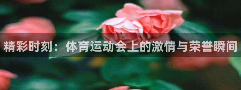 熊猫体育比赛直播：精彩时刻：体育运动会上的激情与荣誉瞬间
