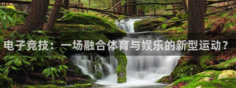 熊猫体育app官方下载最新版：电子竞技：一场融合体育与娱乐的新型运动？