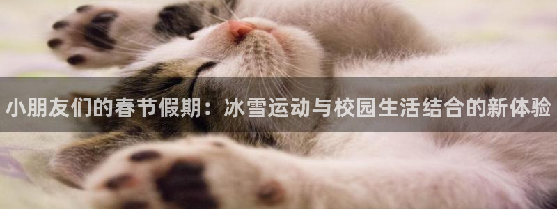 熊猫体育官网首页入口：小朋友们的春节假期：冰雪运动与校园生活结合的新体验