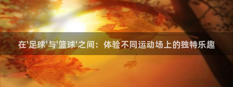熊猫体育网站：在\'足球\'与\'篮球\'之间：体验不同运动场上的独特乐趣