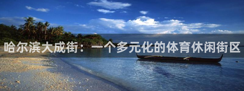 熊猫体育怎么样：哈尔滨大成街：一个多元化的体育休闲街区