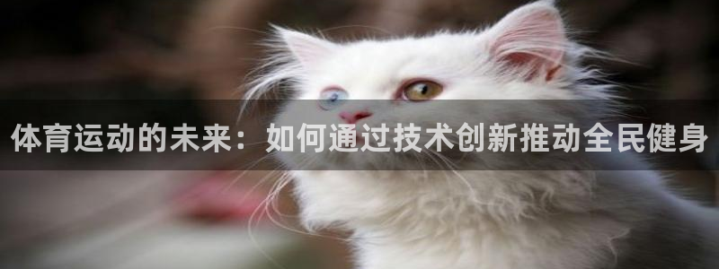 熊猫体育app下载安装