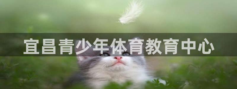 熊猫体育app官网入口：宜昌青少年体育教育中心